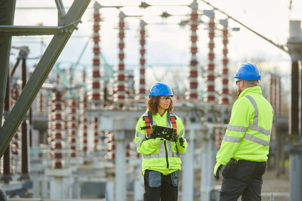 Best Electric Panel Repair  in Kaanapali, HI